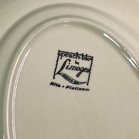 Limoges Peach Blo Ritz Platinum Serving Platter Scalloped Seabring Ohio Vintage - Picture 4 of 6